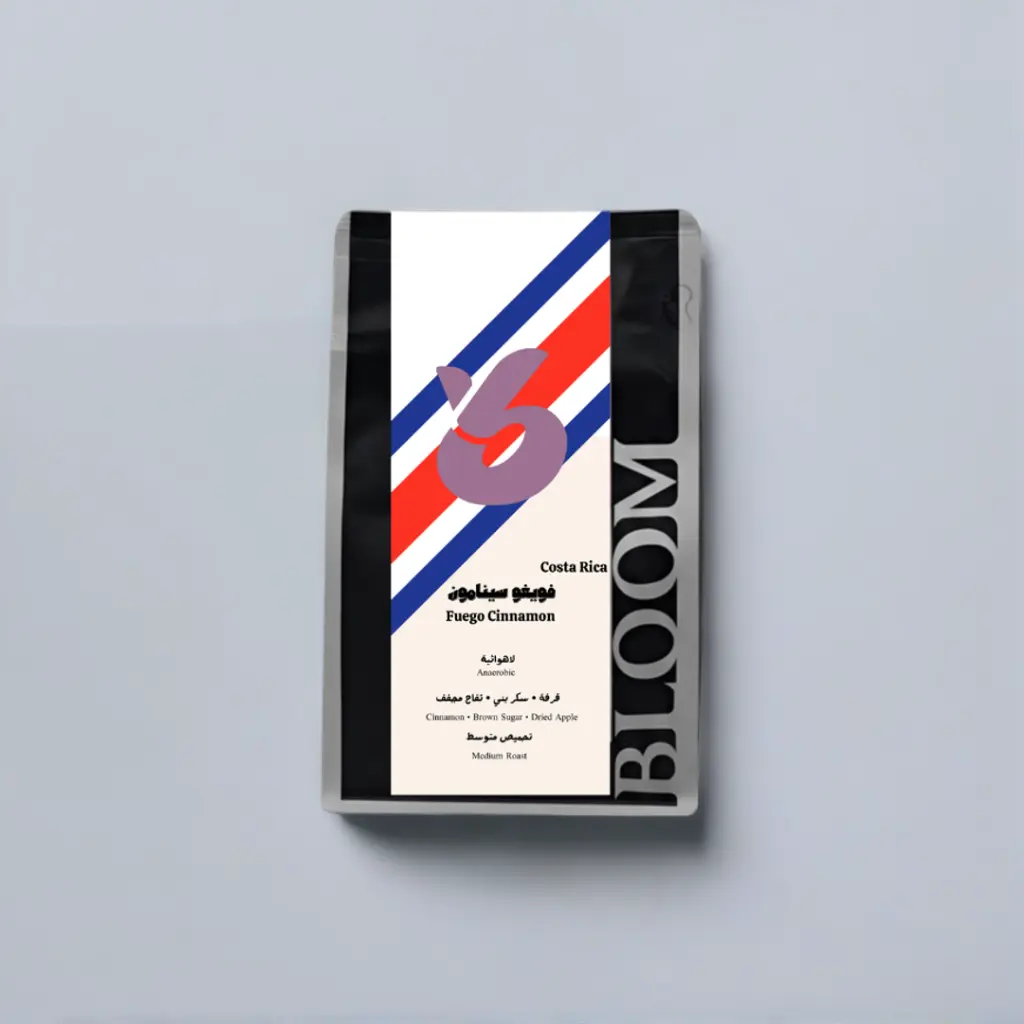 Untitled image-Pacdora (10).webp