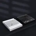 ميزان تايمور